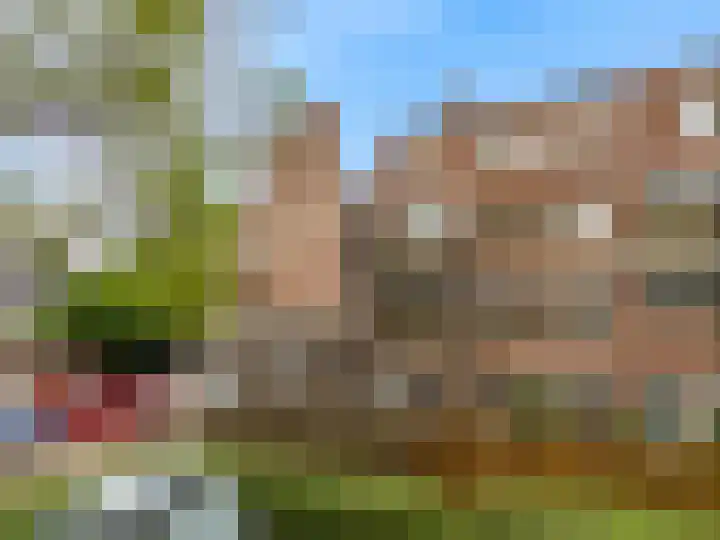 Winkelwaard 77 Alkmaar thumbnail 28