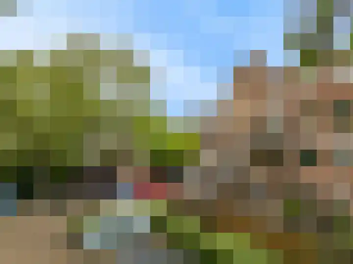 Winkelwaard 77 Alkmaar thumbnail 29
