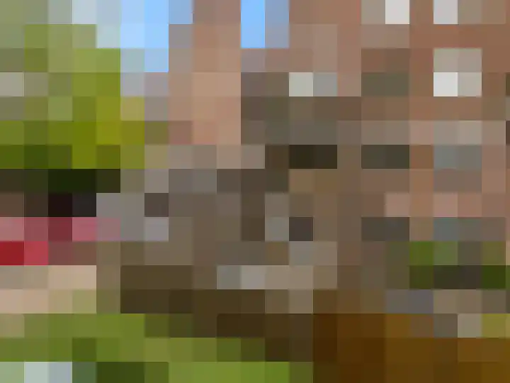Winkelwaard 77 Alkmaar thumbnail 30