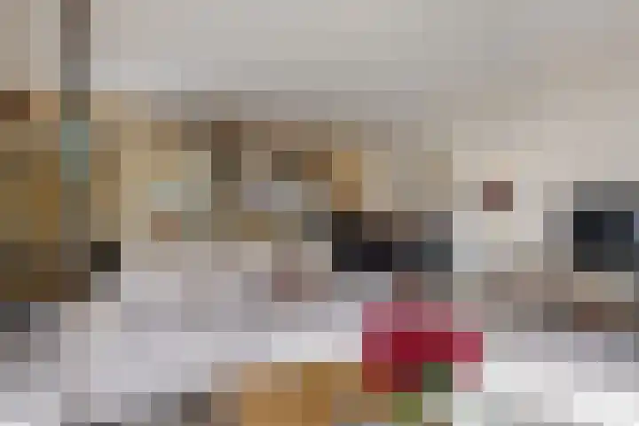 Winkelwaard 77 Alkmaar thumbnail 5