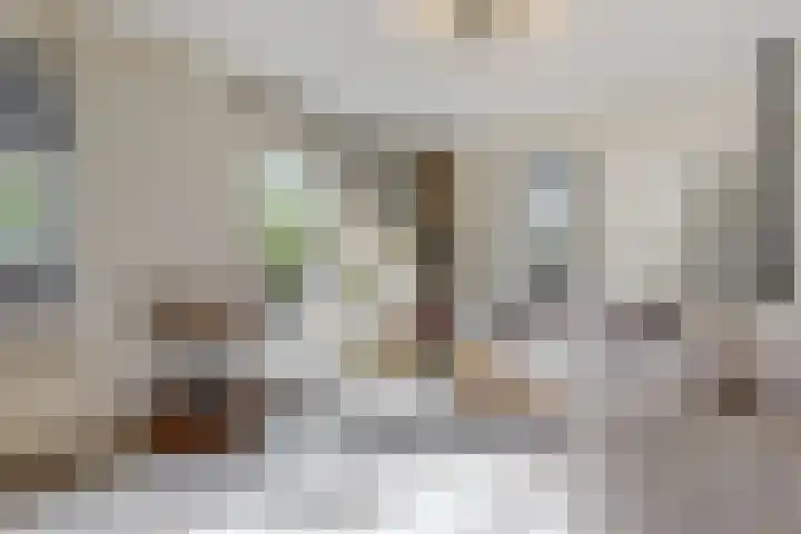 Winkelwaard 77 Alkmaar thumbnail 6