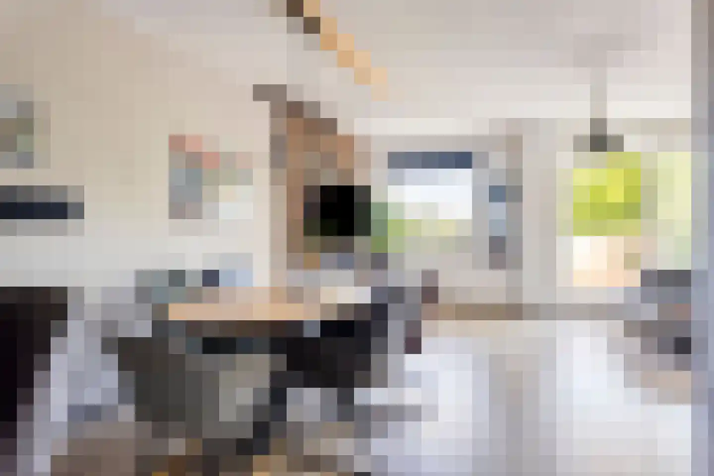 Winkelwaard 86 Alkmaar thumbnail 16