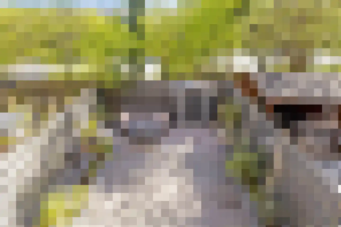 Winkelwaard 86 Alkmaar thumbnail 22