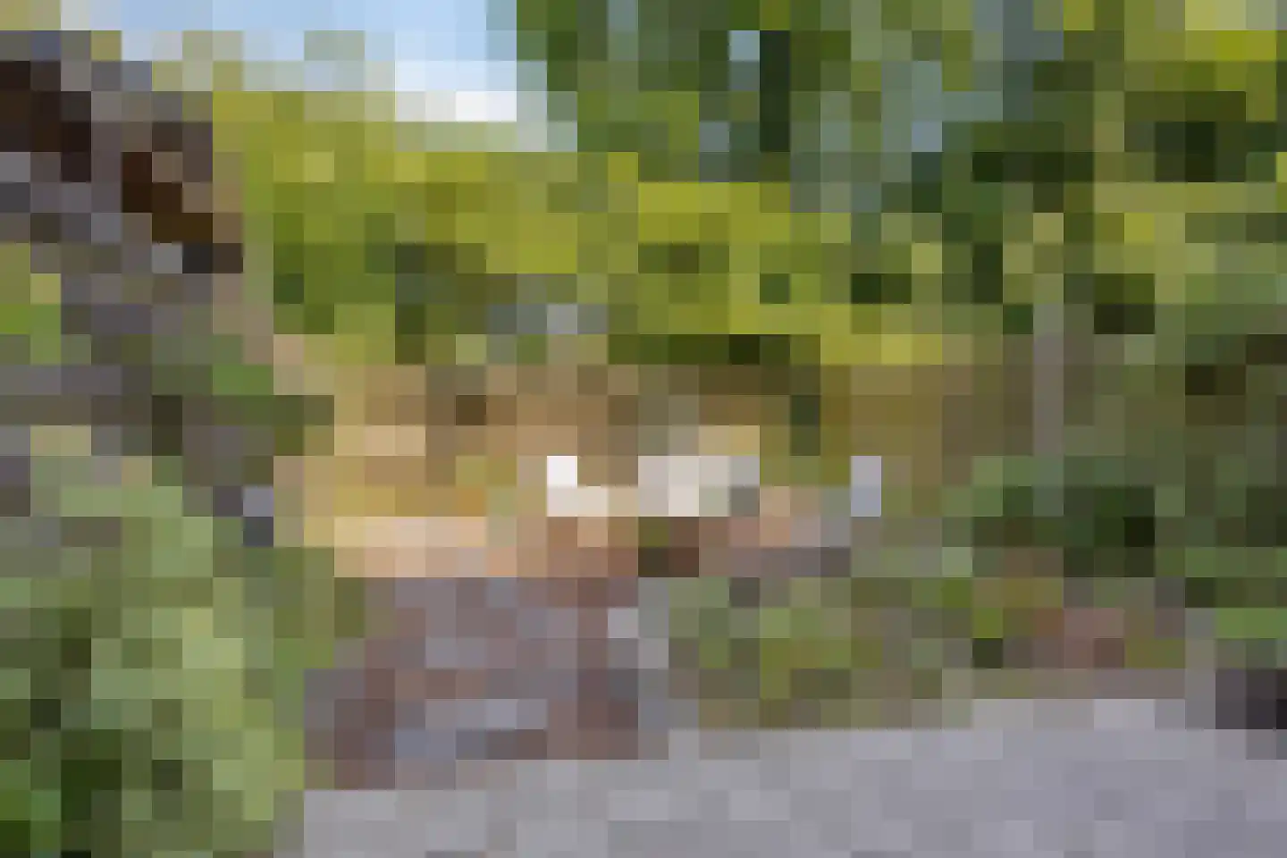 Winkelwaard 87 Alkmaar thumbnail 20