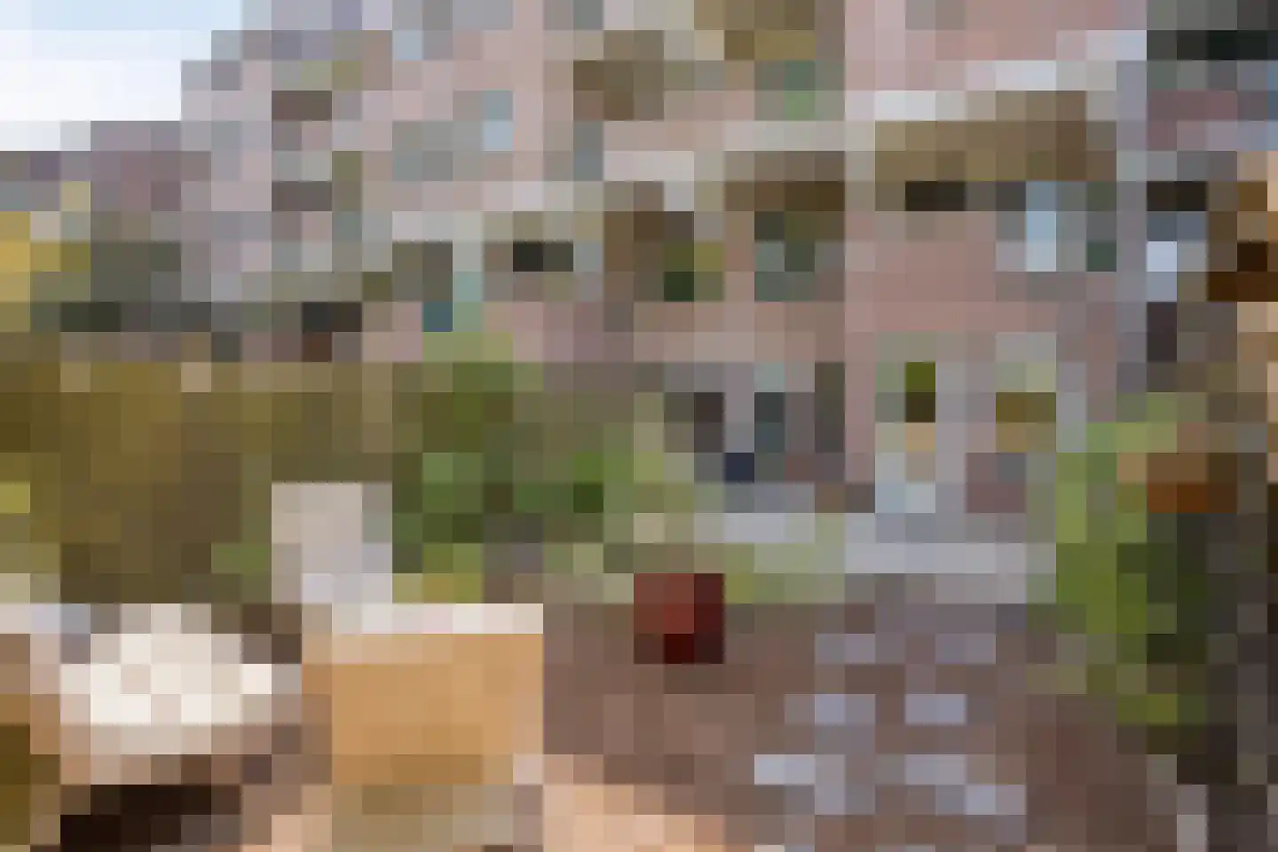 Winkelwaard 87 Alkmaar thumbnail 21