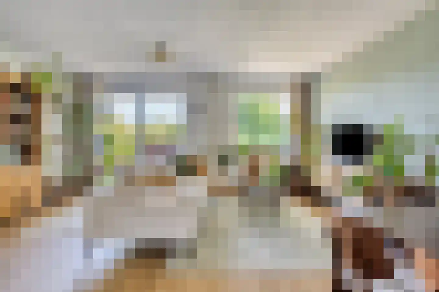 Winkelwaard 87 Alkmaar thumbnail 4
