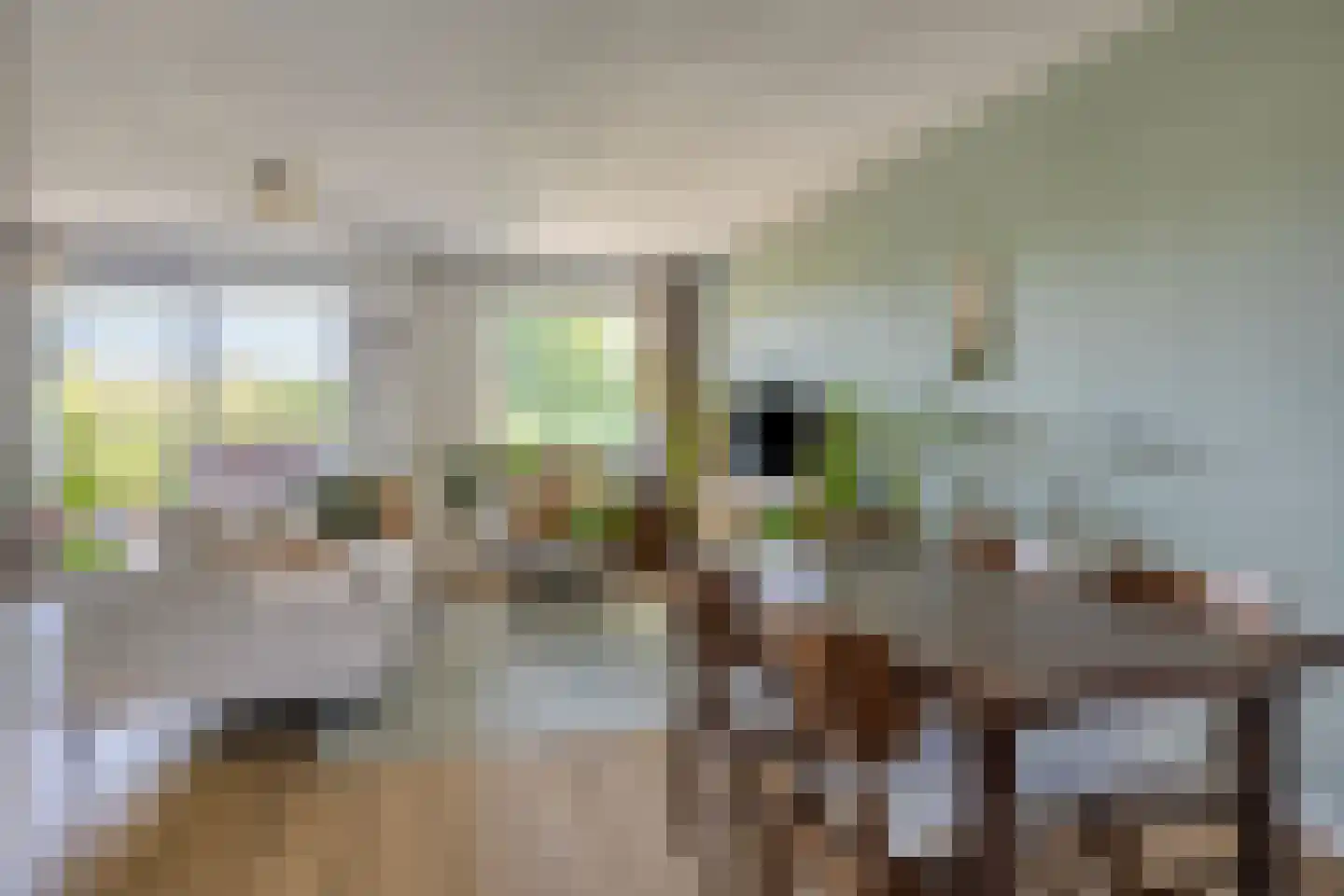 Winkelwaard 87 Alkmaar thumbnail 5