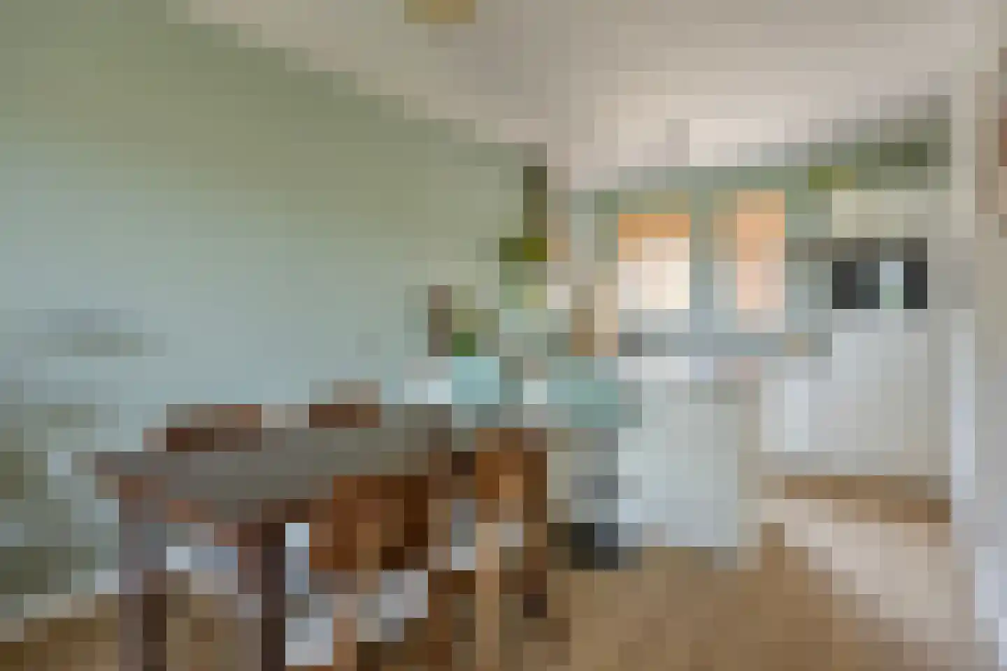 Winkelwaard 87 Alkmaar thumbnail 6