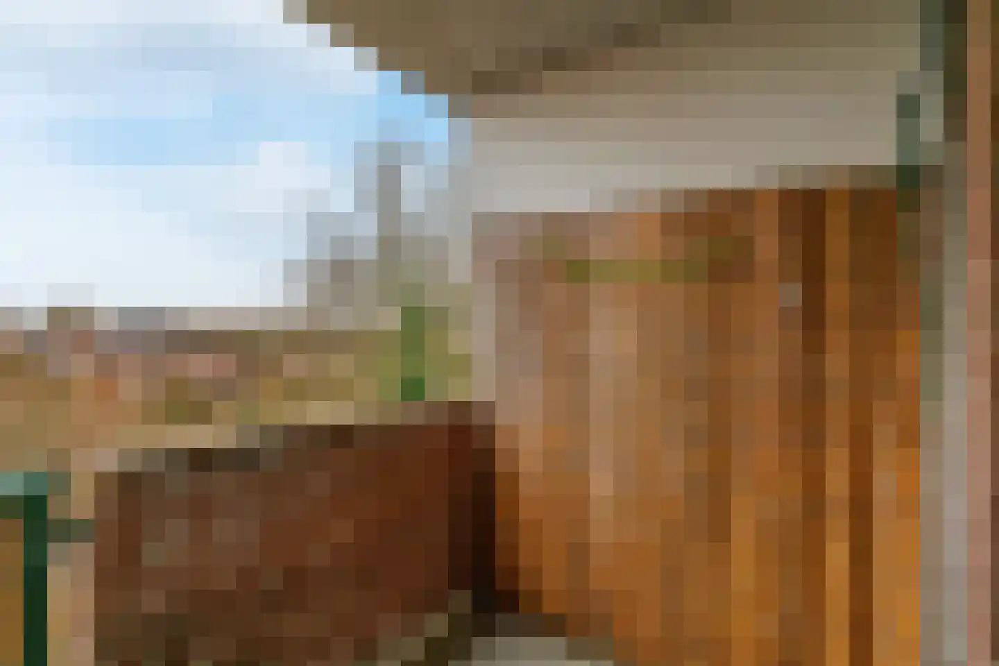 Winkelwaard 97 Alkmaar thumbnail 16