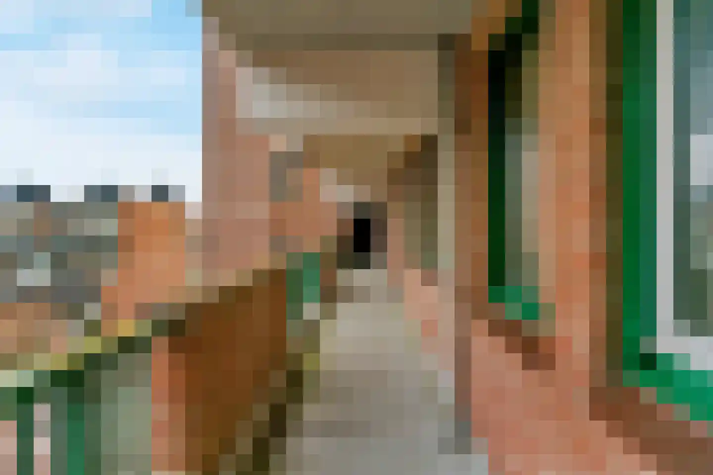 Winkelwaard 97 Alkmaar thumbnail 19