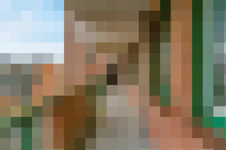 Winkelwaard 97 Alkmaar thumbnail 19