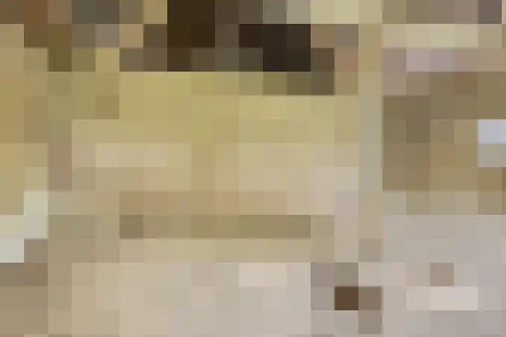 Winkelweg 13 Posterholt thumbnail 20