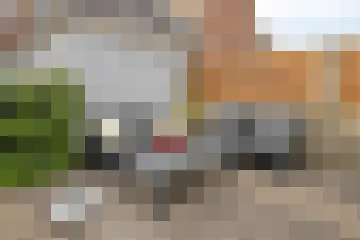 Winkler Prinsstraat 16 Tilburg thumbnail 27