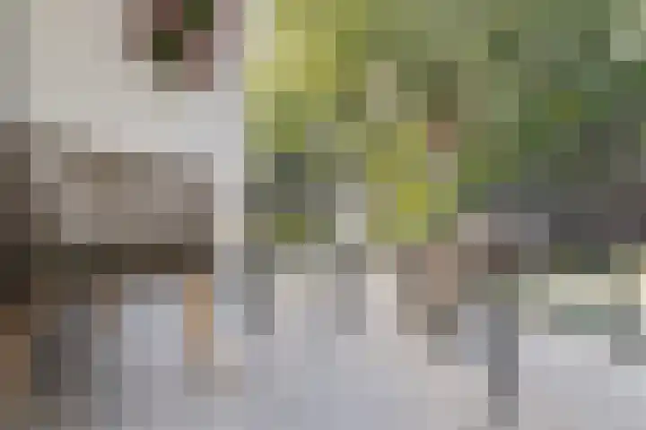 Winklerlaan 130 Utrecht thumbnail 23