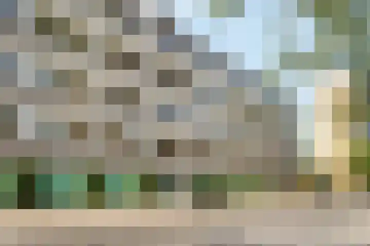Winklerlaan 130 Utrecht thumbnail 28
