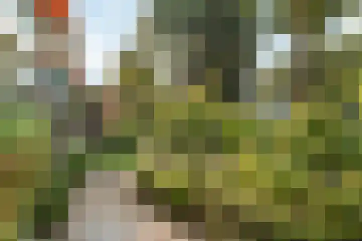 Winklerlaan 130 Utrecht thumbnail 30