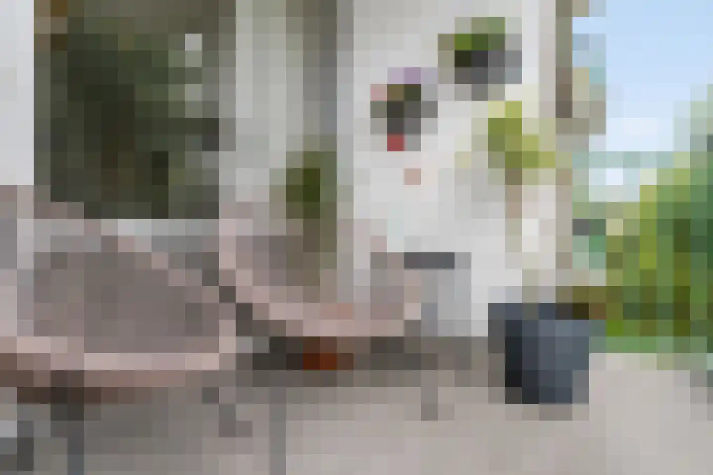 Winklerlaan 132 Utrecht thumbnail 25
