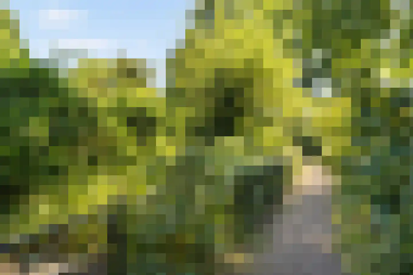 Winklerlaan 132 Utrecht thumbnail 28