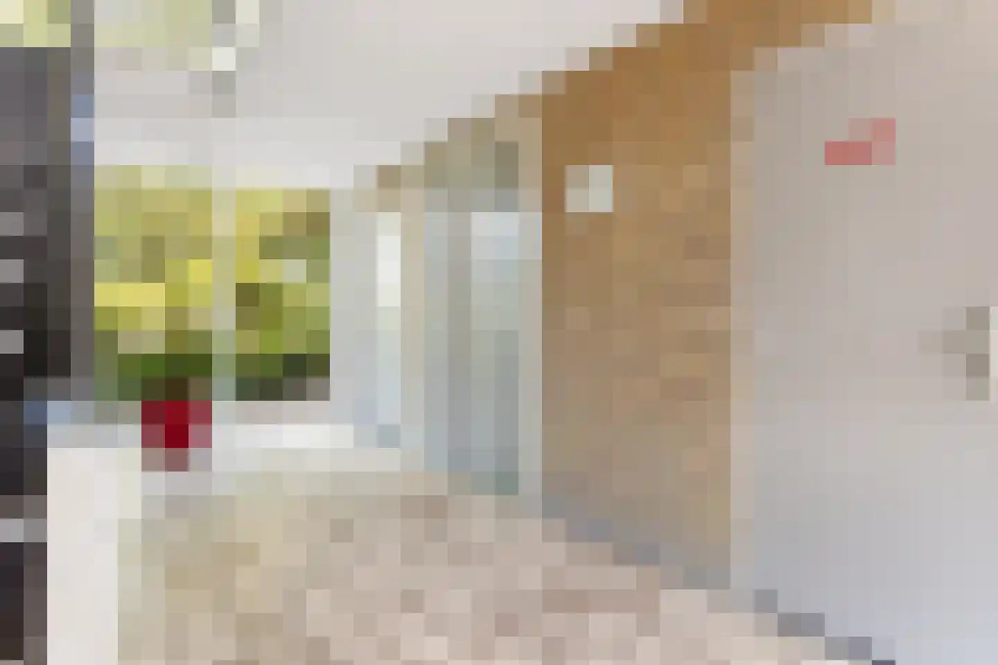 Winklerlaan 132 Utrecht thumbnail 4