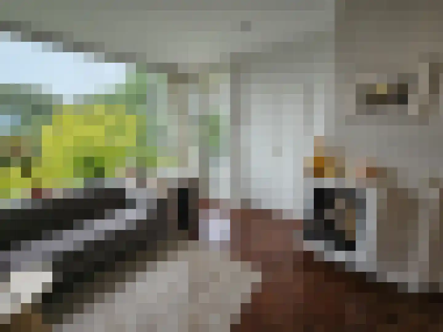 Winklerlaan 136 Utrecht thumbnail 17