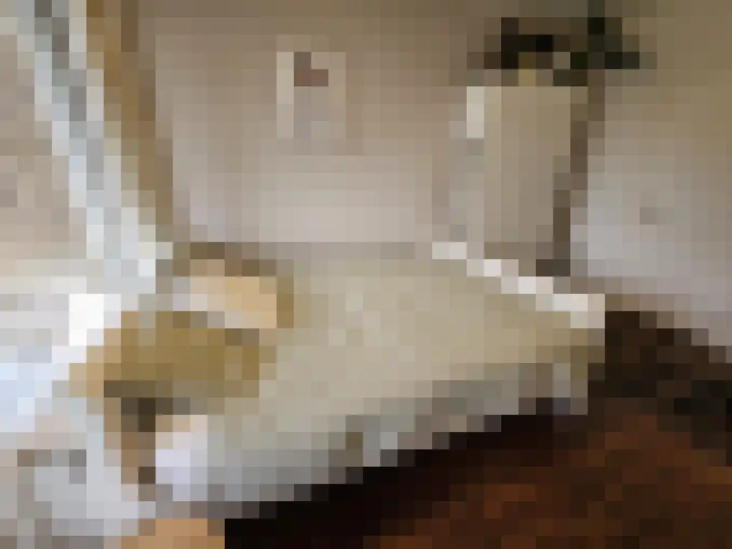 Winklerlaan 136 Utrecht thumbnail 24