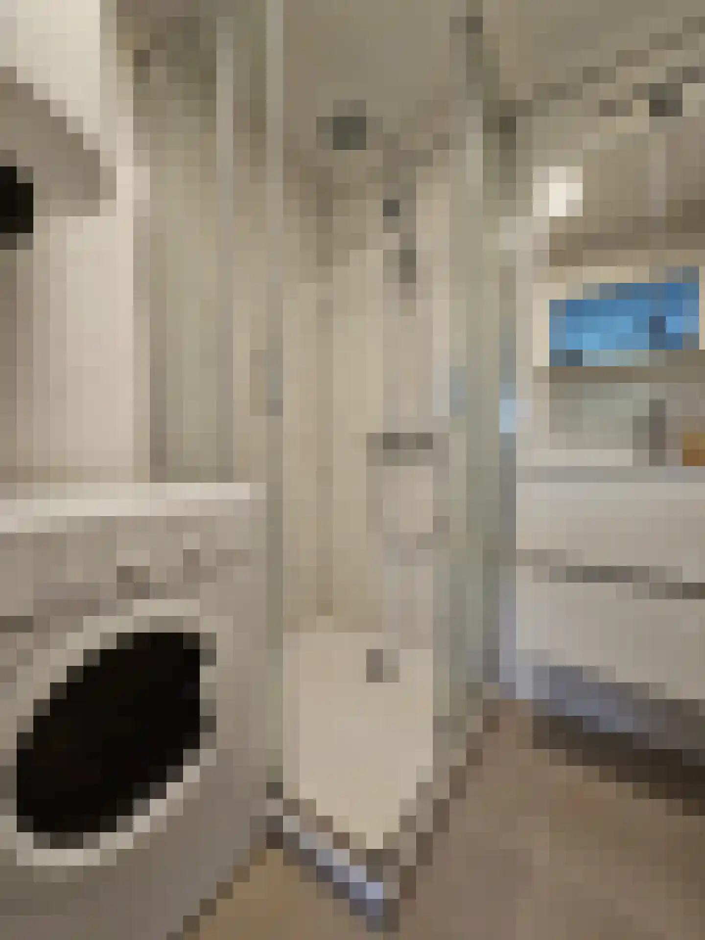 Winklerlaan 136 Utrecht thumbnail 28