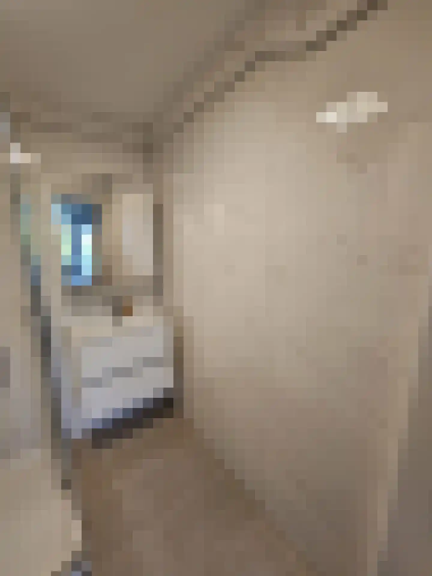 Winklerlaan 136 Utrecht thumbnail 30