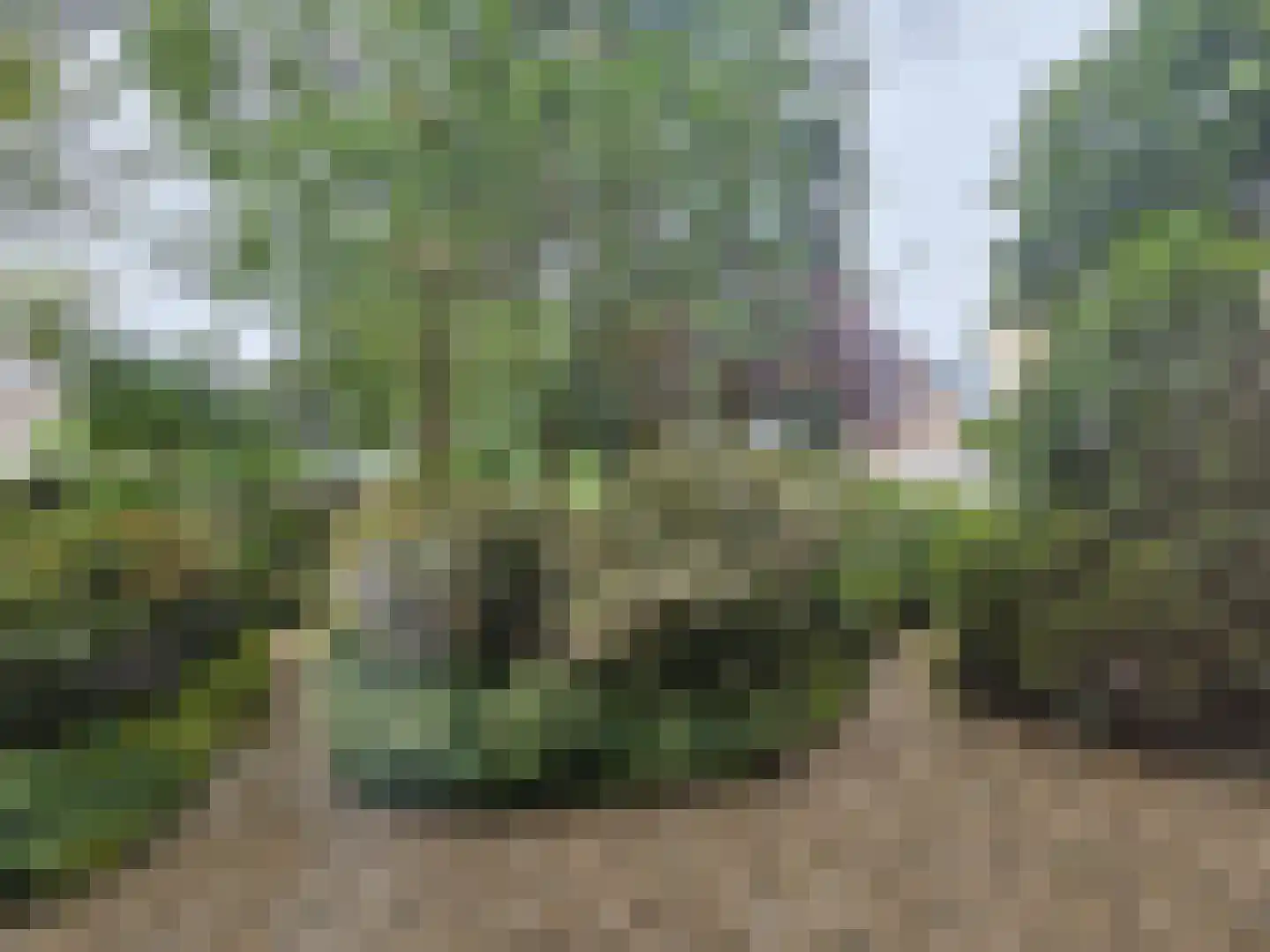Winklerlaan 136 Utrecht thumbnail 35