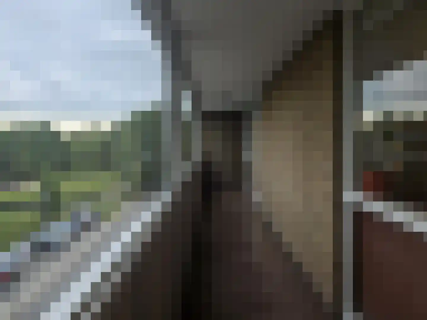 Winklerlaan 136 Utrecht thumbnail 8
