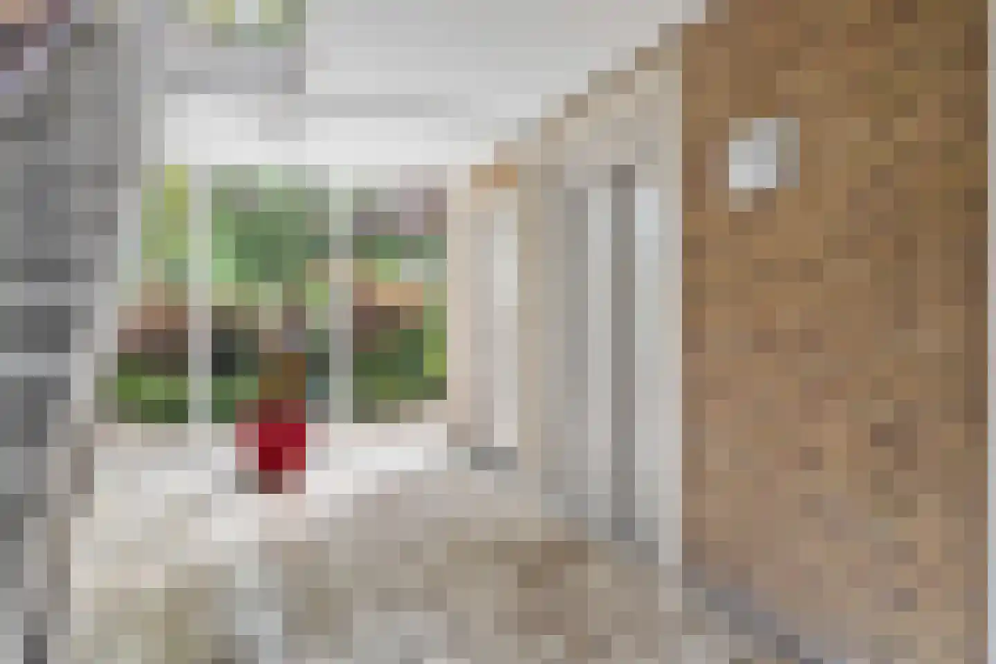 Winklerlaan 150 Utrecht thumbnail 4
