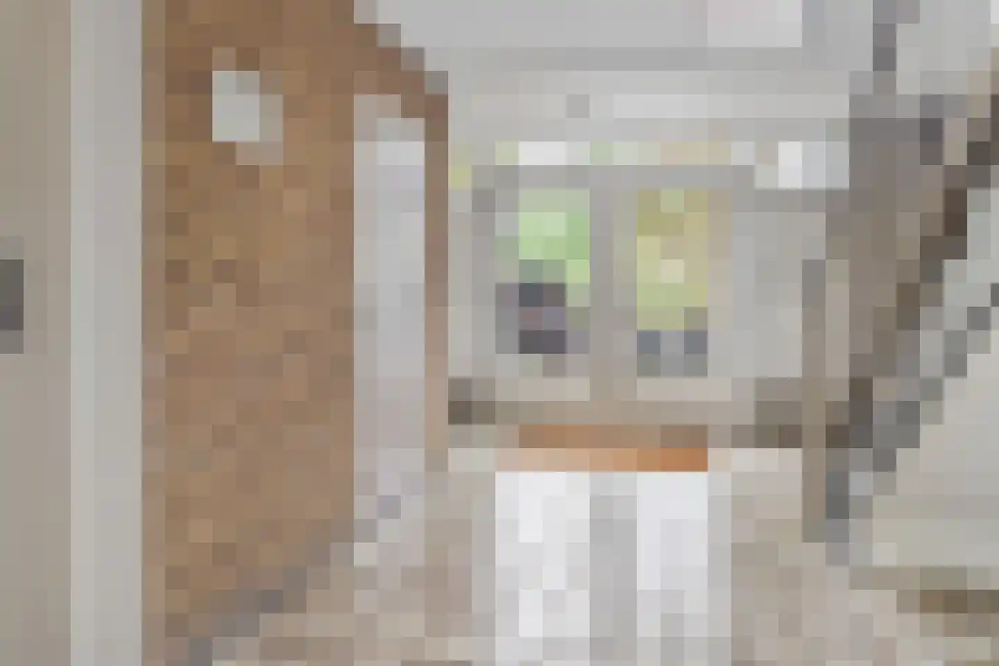 Winklerlaan 150 Utrecht thumbnail 5