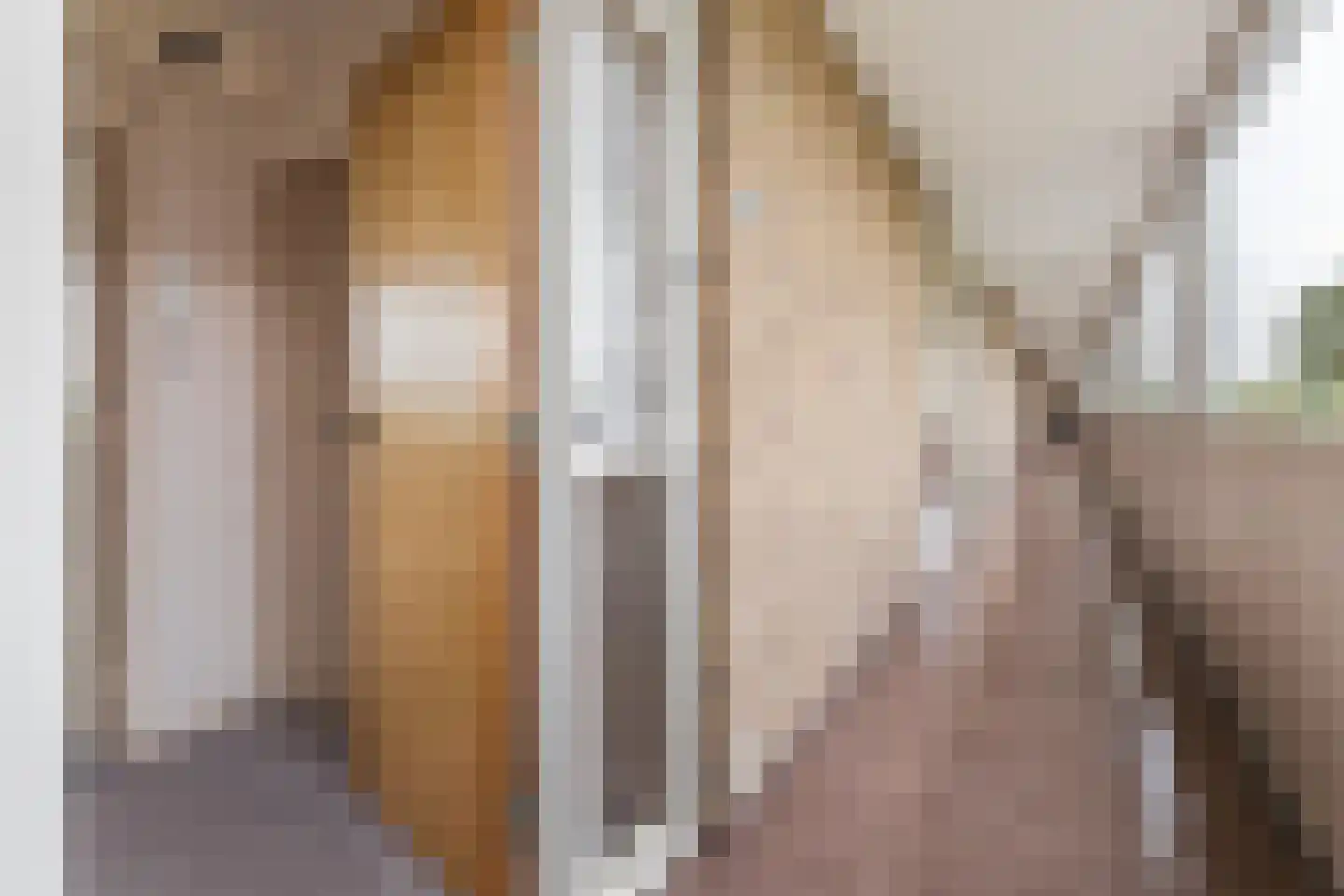 Winklerlaan 150 Utrecht thumbnail 6