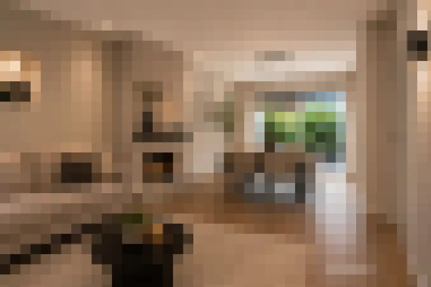 Winklerlaan 22 Utrecht thumbnail 10