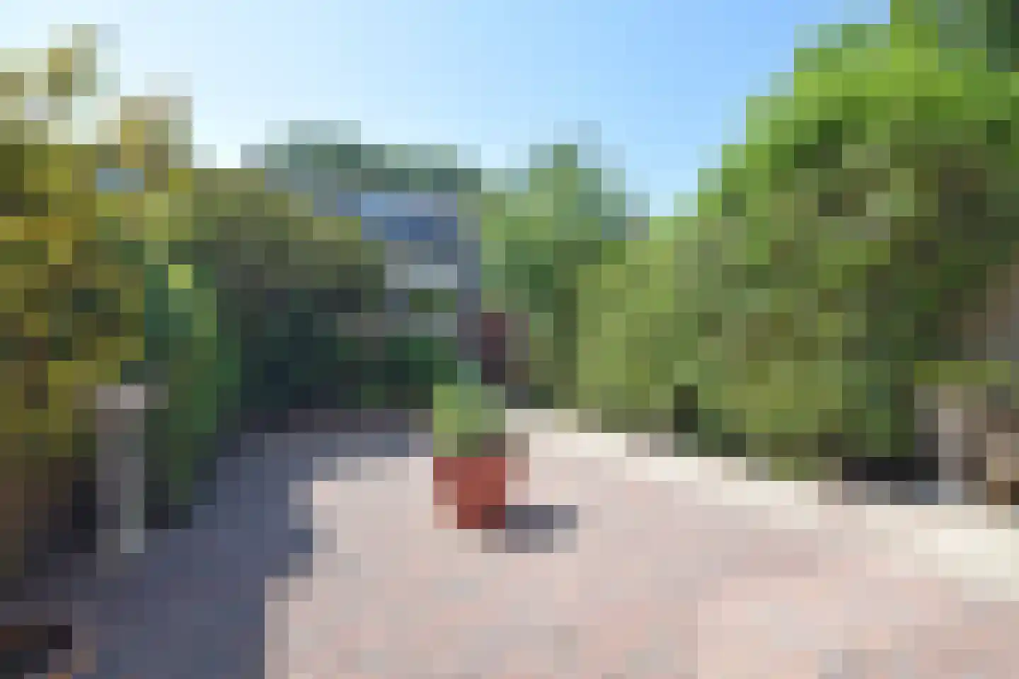 Winklerlaan 22 Utrecht thumbnail 35