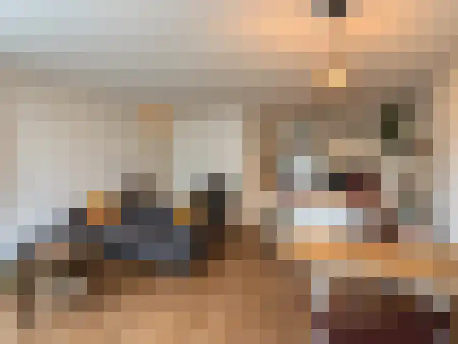 Winklerlaan 365 Utrecht thumbnail 4