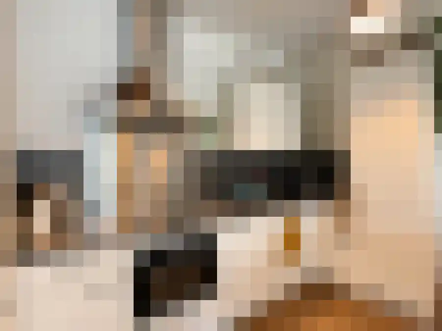 Winklerlaan 365 Utrecht thumbnail 5