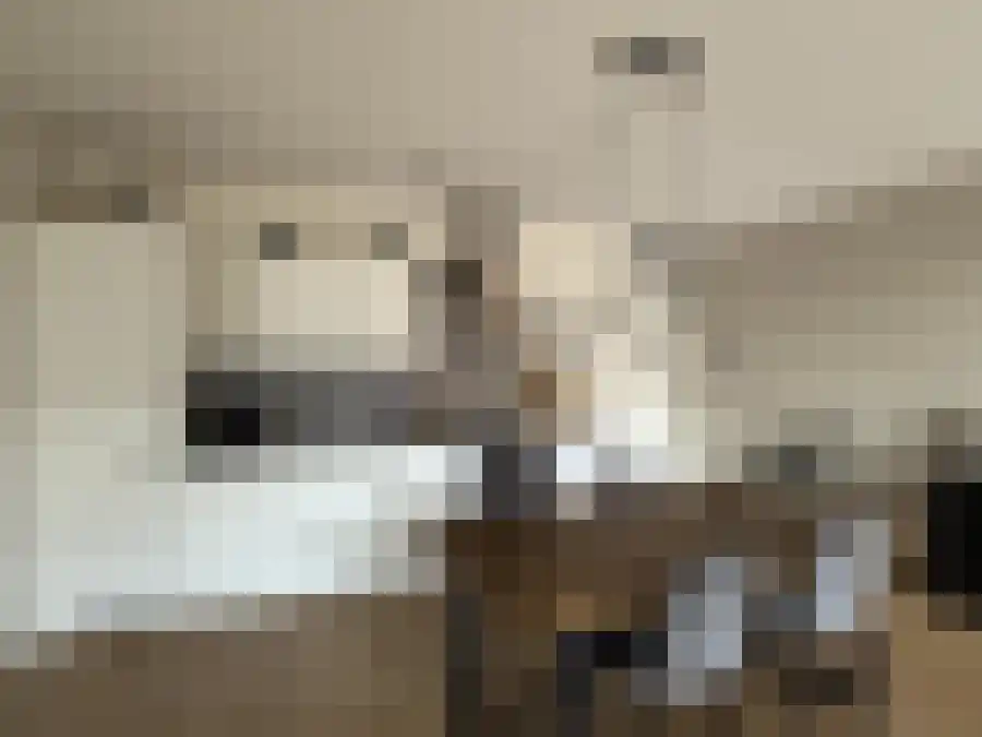 Winklerlaan 365 Utrecht thumbnail 6