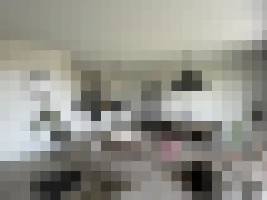 Winklerlaan 367 Utrecht thumbnail 4