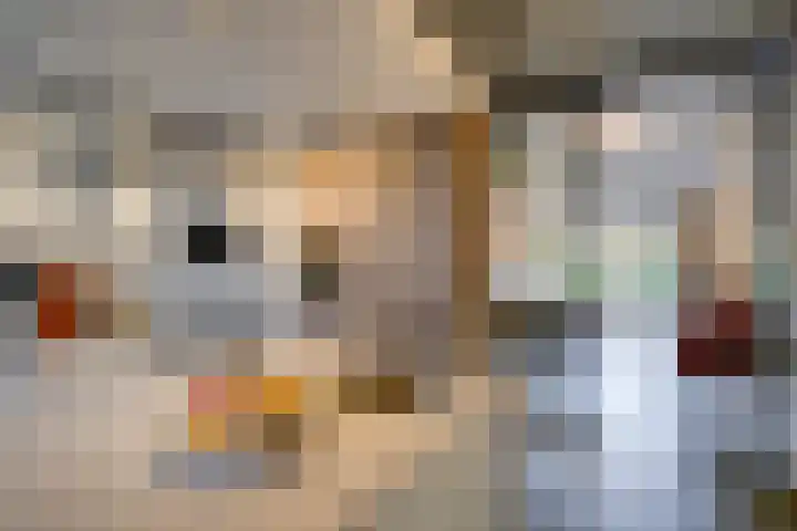 Winklerlaan 383 Utrecht thumbnail 10