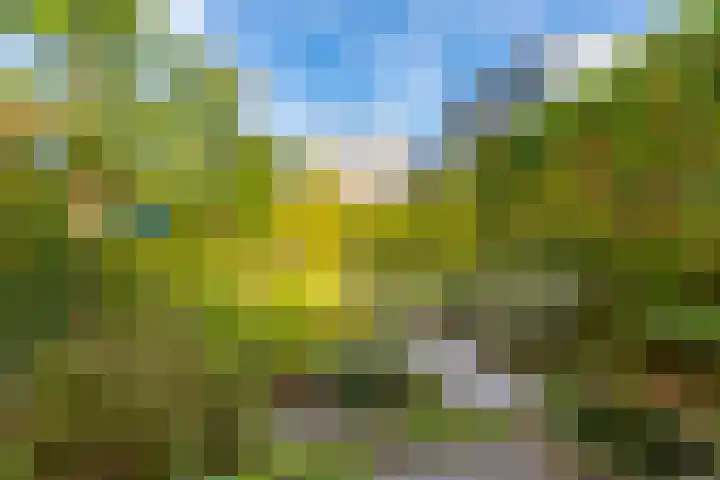 Winklerlaan 383 Utrecht thumbnail 15