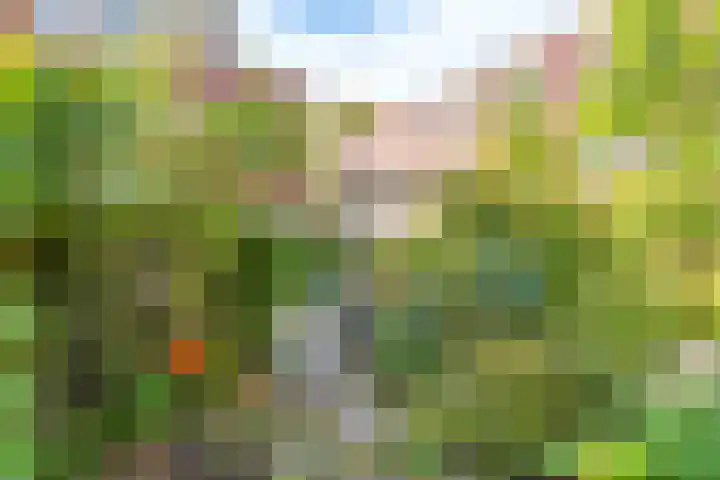 Winklerlaan 383 Utrecht thumbnail 16