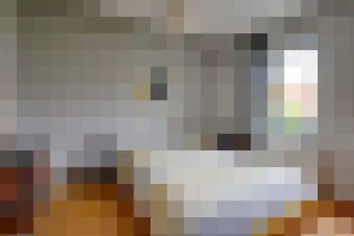 Winklerlaan 383 Utrecht thumbnail 21