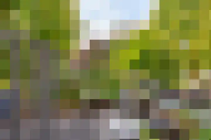 Winklerlaan 383 Utrecht thumbnail 25