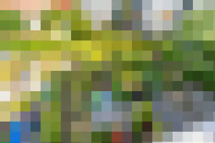 Winklerlaan 383 Utrecht thumbnail 37