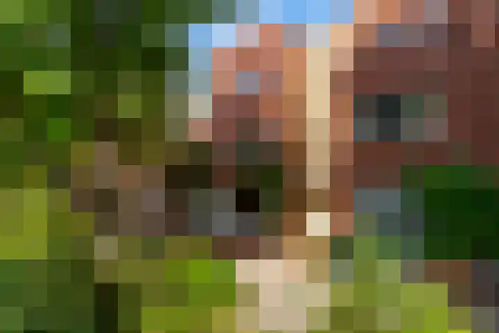 Winklerlaan 383 Utrecht thumbnail 40