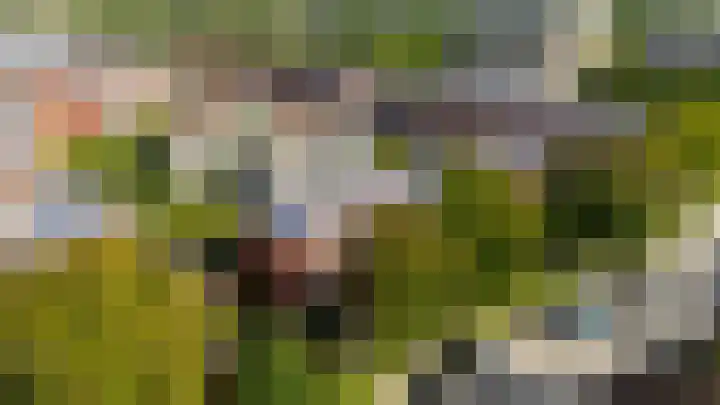 Winklerlaan 383 Utrecht thumbnail 42