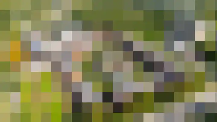 Winklerlaan 383 Utrecht thumbnail 43