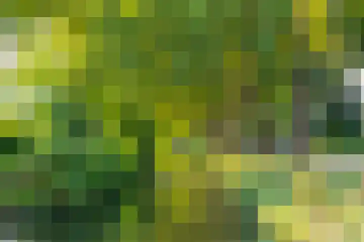 Winklerlaan 383 Utrecht thumbnail 47