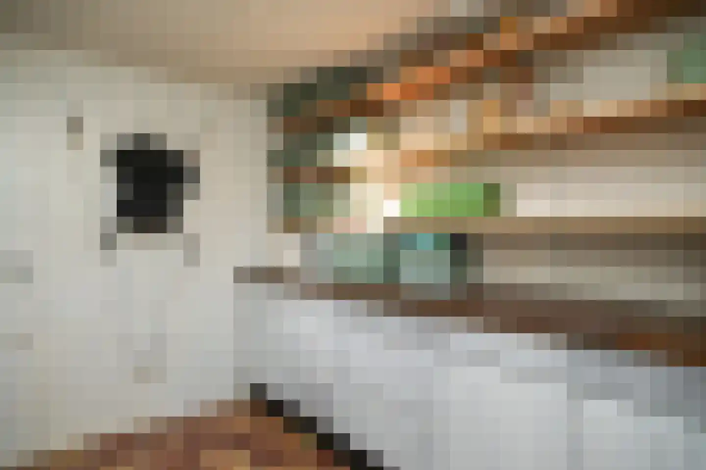 Winklerlaan 56 Utrecht thumbnail 20