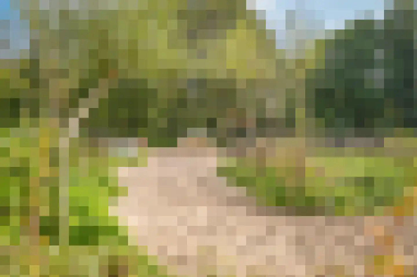 Winklerlaan 56 Utrecht thumbnail 59